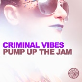 Pump Up the Jam (Federico Scavo Remix) artwork