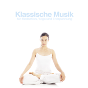 Klassische Musik für Meditation, Yoga und Entspannung - Verschiedene Interpret:innen