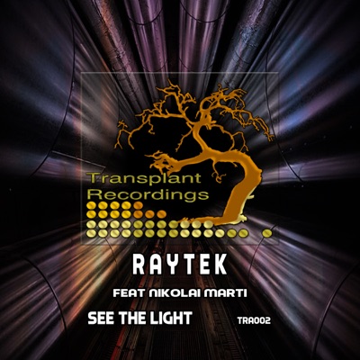 See the Light - Single