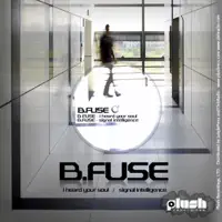 I Heard Your Soul (Original Mix) — B Fuse