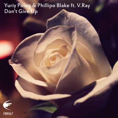 Don't Give Up (feat. V.RAY)