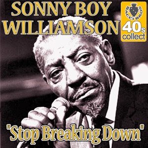 Stop Breaking Down (Remastered) - Single