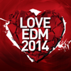 Love EDM 2014 - Various Artists