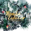 Bomba Estereo - Bosque