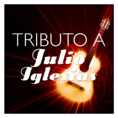 Cover art for Tributo a Julio Iglesias by Enrique Sánchez