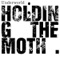 Holding the Moth Remixes ジャケット写真