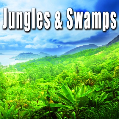 Various Birds, Frogs & Insects in a Swamp-thumbnail