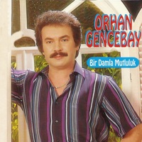 Bir Damla Mutluluk - Orhan Gencebay