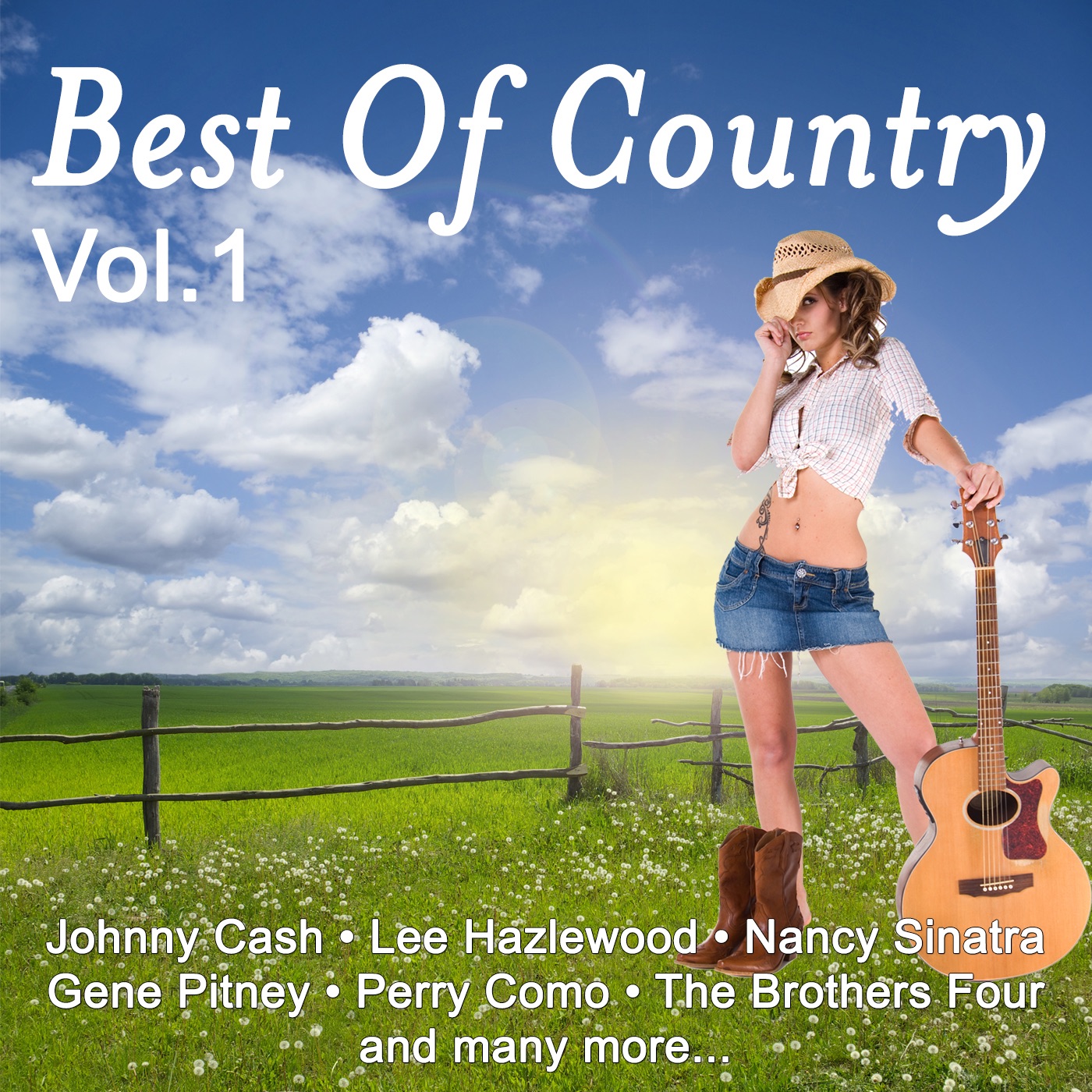 Best of country Vol.1