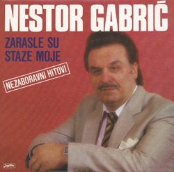 Nestor Gabric - Tebi Pevam, Vojvodino Moja