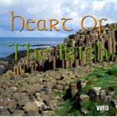 Heart of the Irish Vol.3 artwork