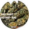 Nothin' Bad - Single