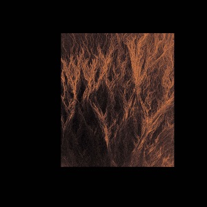 Basorelief - EP