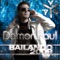Bailando 2009 (Radio Edit) - Damon Paul lyrics