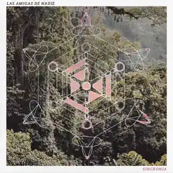 Sincronía - Las Amigas de Nadie