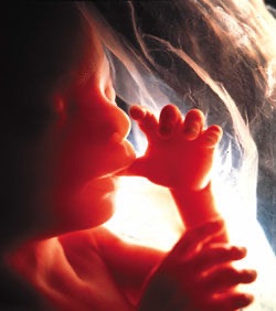 Abortionfactsblog's Community Call cover
