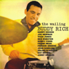 Multi-interprètes - The Wailing Buddy Rich (Remastered) illustration