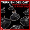 Turkish Delight - Single