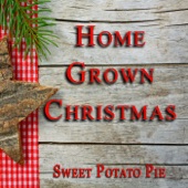 Sweet Potato Pie - Christmas Country Style