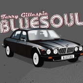 Terry Gillespie - What Would Bo Diddley Do