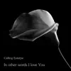 In Other Words I Love You