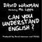 Can You Understand English? (Agent Greg Remix) - David Waxman lyrics