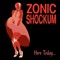 Alley Hunter - Zonic Shockum lyrics