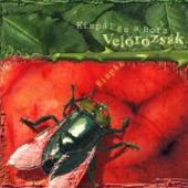 Velőrózsák artwork