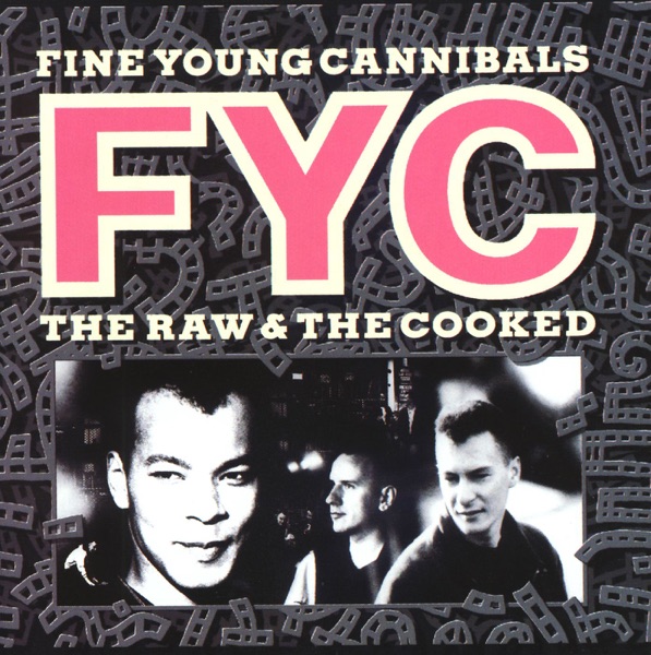 Album art for She Drives Me Crazy by Fine Young Cannibals