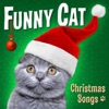 Funny Cats - God Rest Ye Merry Gentlemen