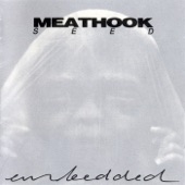 Meathook Seed - Day of Conceiving