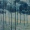 Break It to You Gently - Camera Obscura lyrics