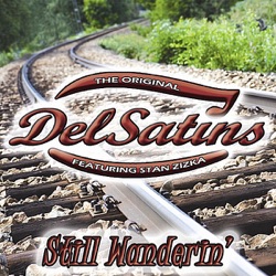 The Del Satins - Teardrops Follow Me