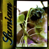 Samiam - Television