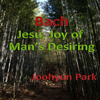Jesu, Joy of Man's Desiring for Piano - Joohyun Park