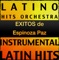 Para no perderte - Latino Hits Orchestra lyrics