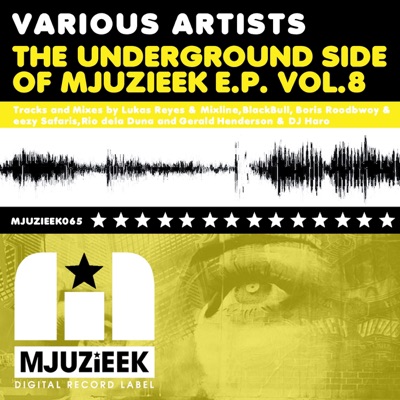 The Underground Side of Mjuzieek Vol. 8 - EP