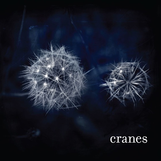 Cover artwork for Feathers