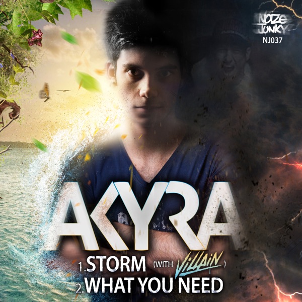 Storm / What You Need - Single