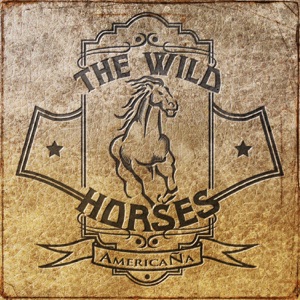 The Wild Horses - When I'm Gone - Line Dance Music