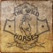 Achy Breaky Heart - The Wild Horses lyrics