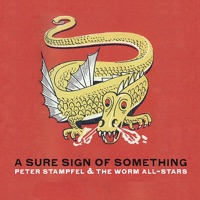 A Sure Sign of Something - Peter Stampfel & The Worm All-Stars