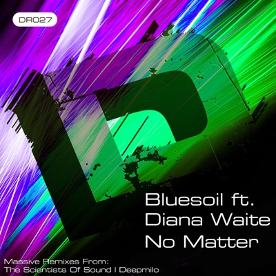 No Matter (feat. Diana Waite) - Single