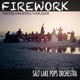 Firework Instrumental Version feat Aubree Oliverson Single