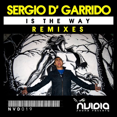 Is the Way Remixes - Single