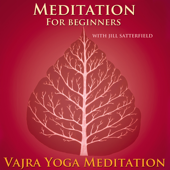 Meditation for Beginners from the Buddhist Tradition - Guided Meditation with Jill Satterfield