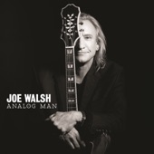 Joe Walsh - Analog Man