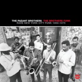 The Pazant Brothers - Chicken Scratch