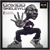 Skelewu cover art