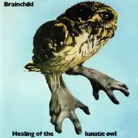 Healing Of The Lunatic Owl — Brainchild